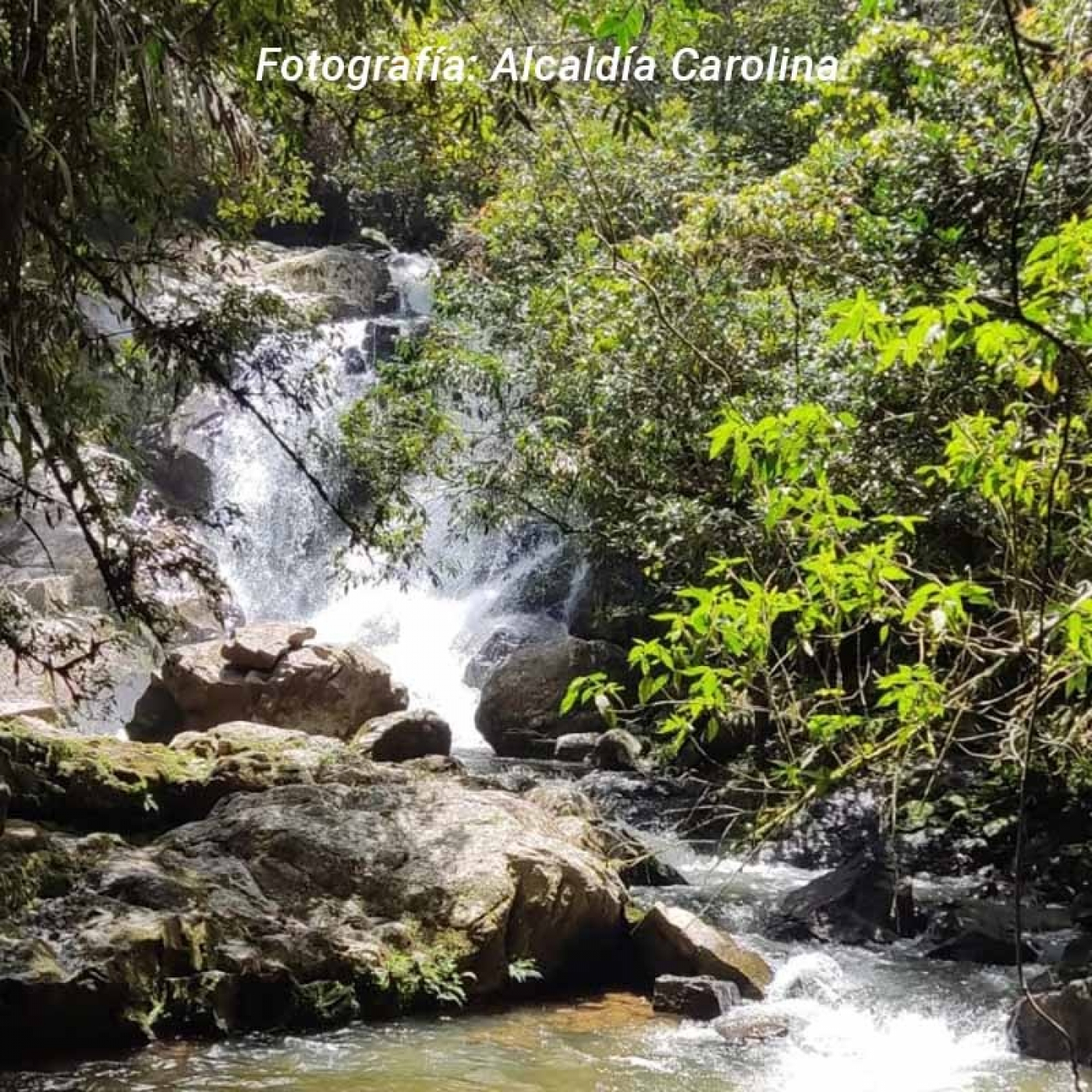 En Carolina del Príncipe se implementará por primera vez el convenio para el pago por servicios ambientales episode artwork
