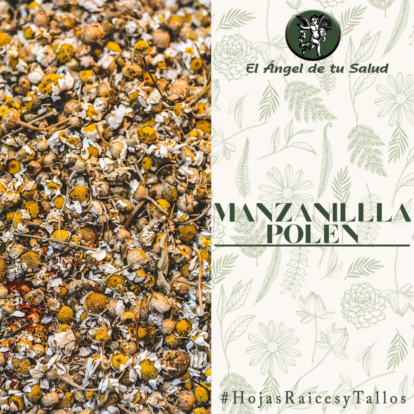 El Ángel de tu Salud - Manzanilla** episode artwork