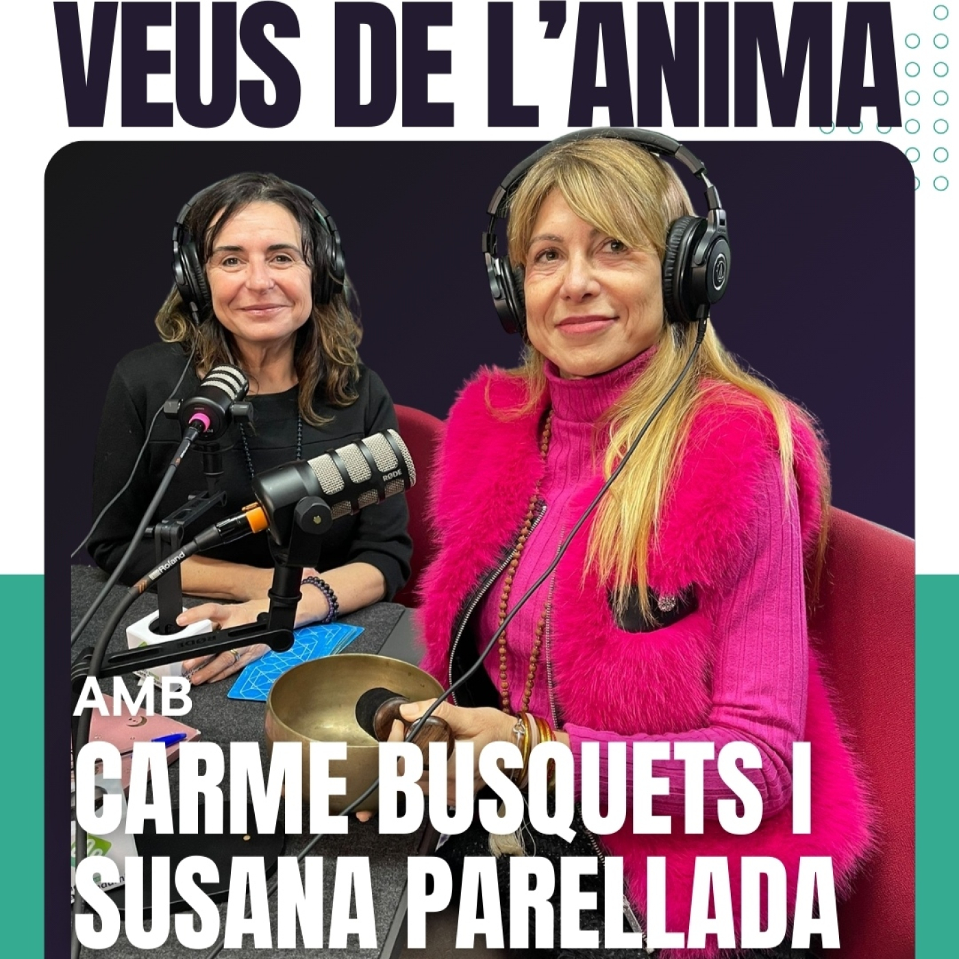 Veus de l'ànima capítol 7 "El propòsit de l'ànima" episode artwork