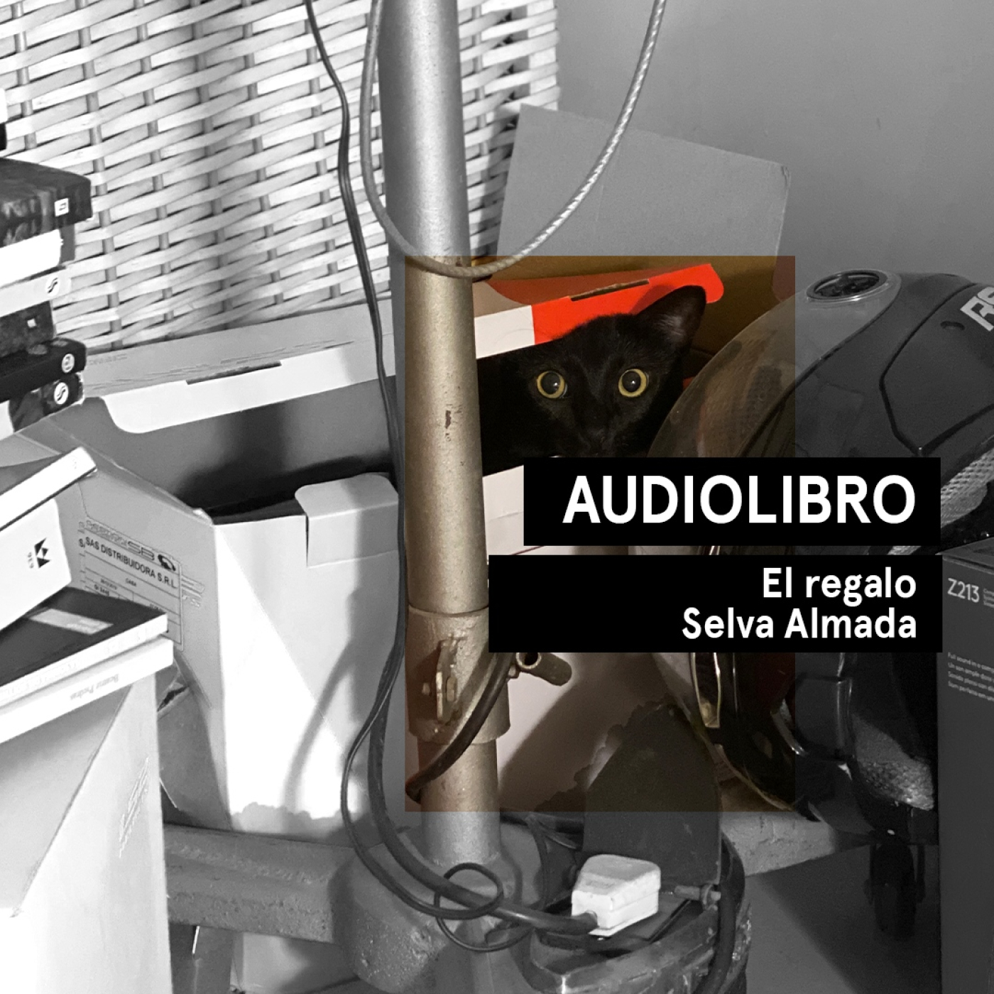 El regalo - Selva Almada | Audiocuento | Audiolibros Por qué leer