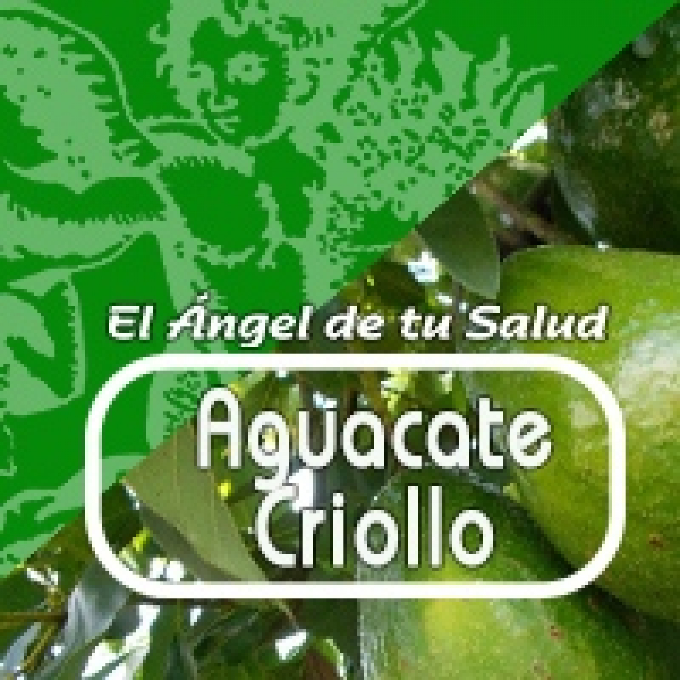 El Angel de tu Salud - AGUACATE CRIOLLO* episode artwork