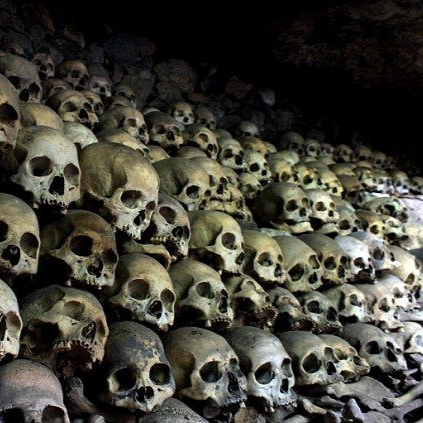 Cuentos del bosque oscuro