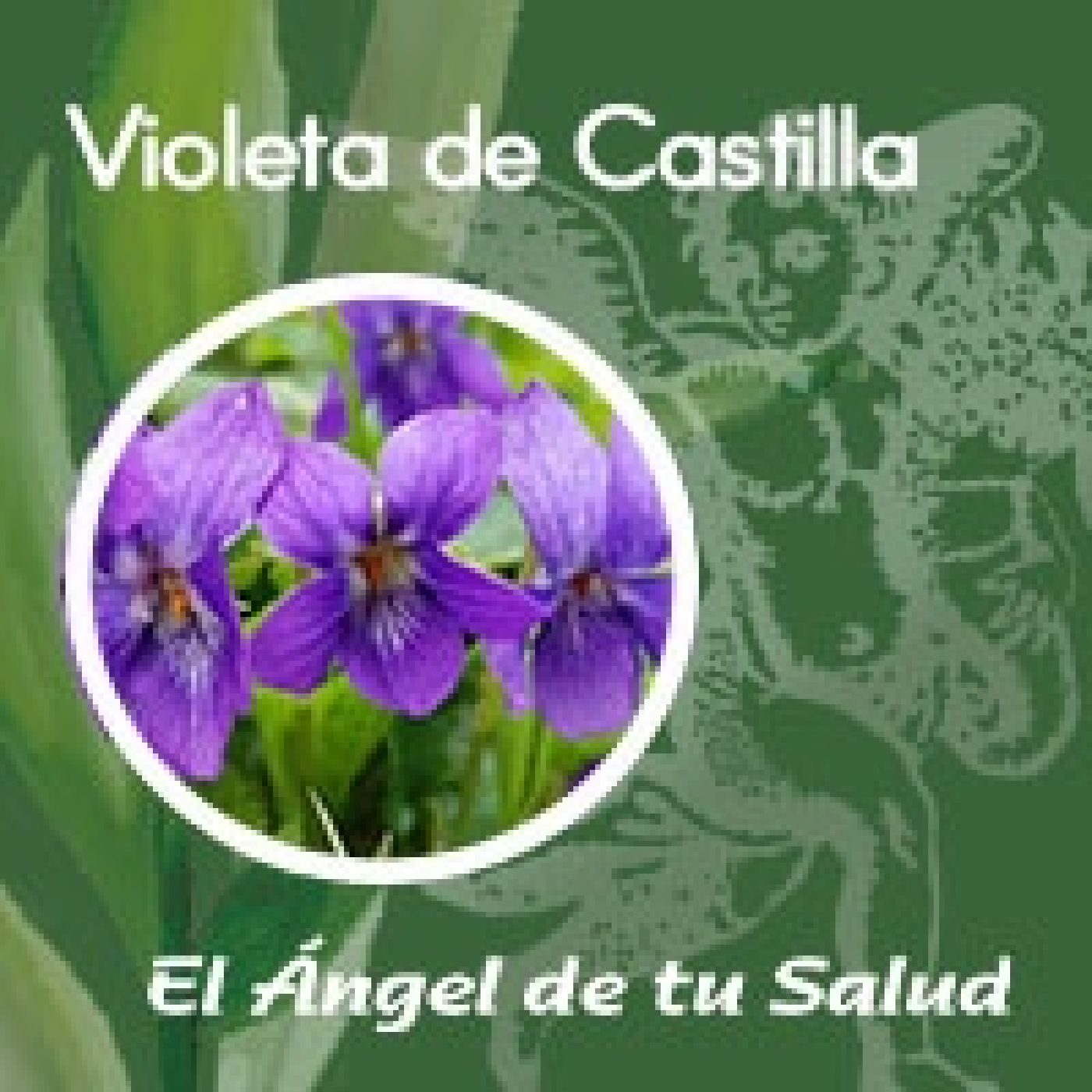 El Ángel de tu Salud - Violeta de Castilla**