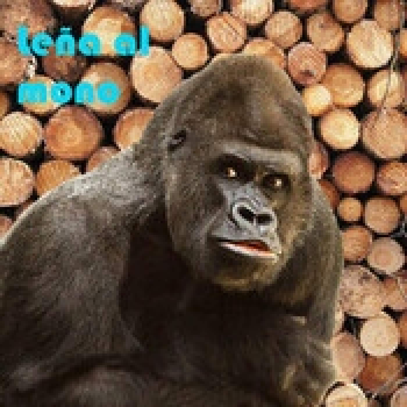 MdE - Avance Audio para SUSCRIPTORES de TISKRA MdE - Avance Audio para SUSCRIPTORES de TISKRA