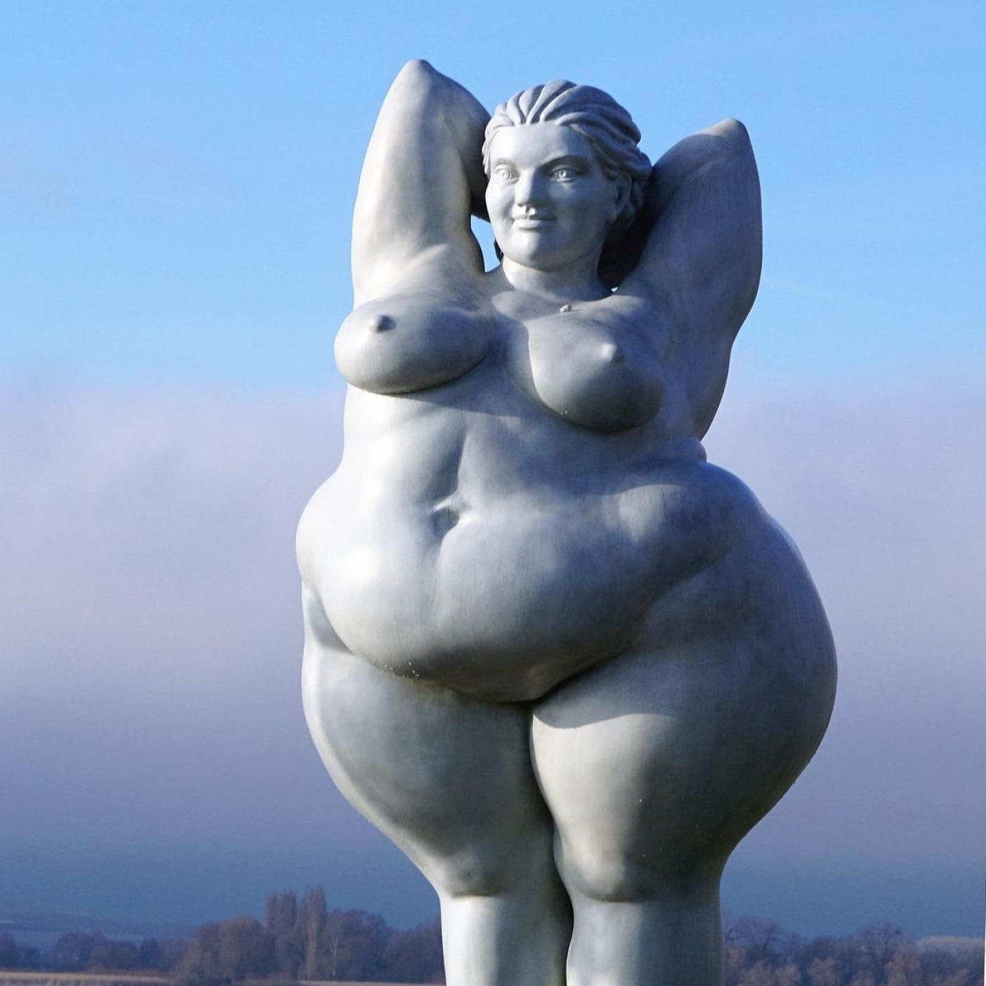 Las ocho caras del SOP y la «panacea poliquística»