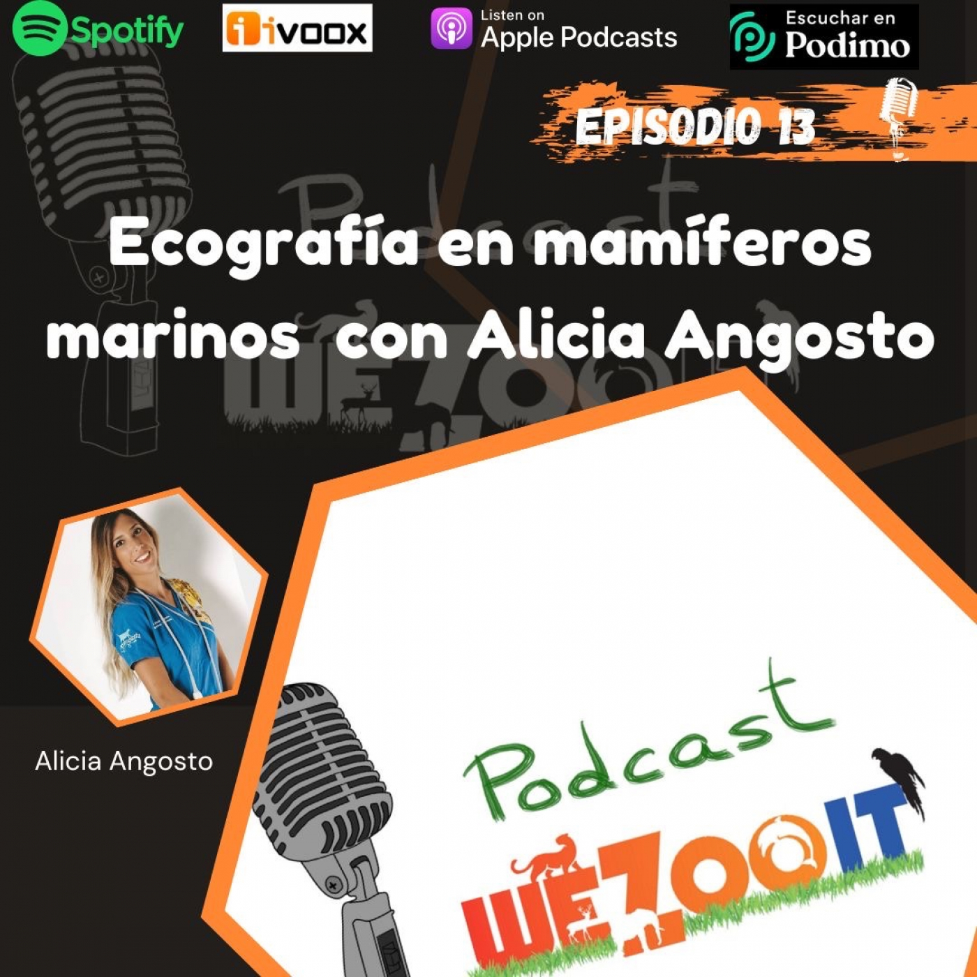 WeZooit Podcast