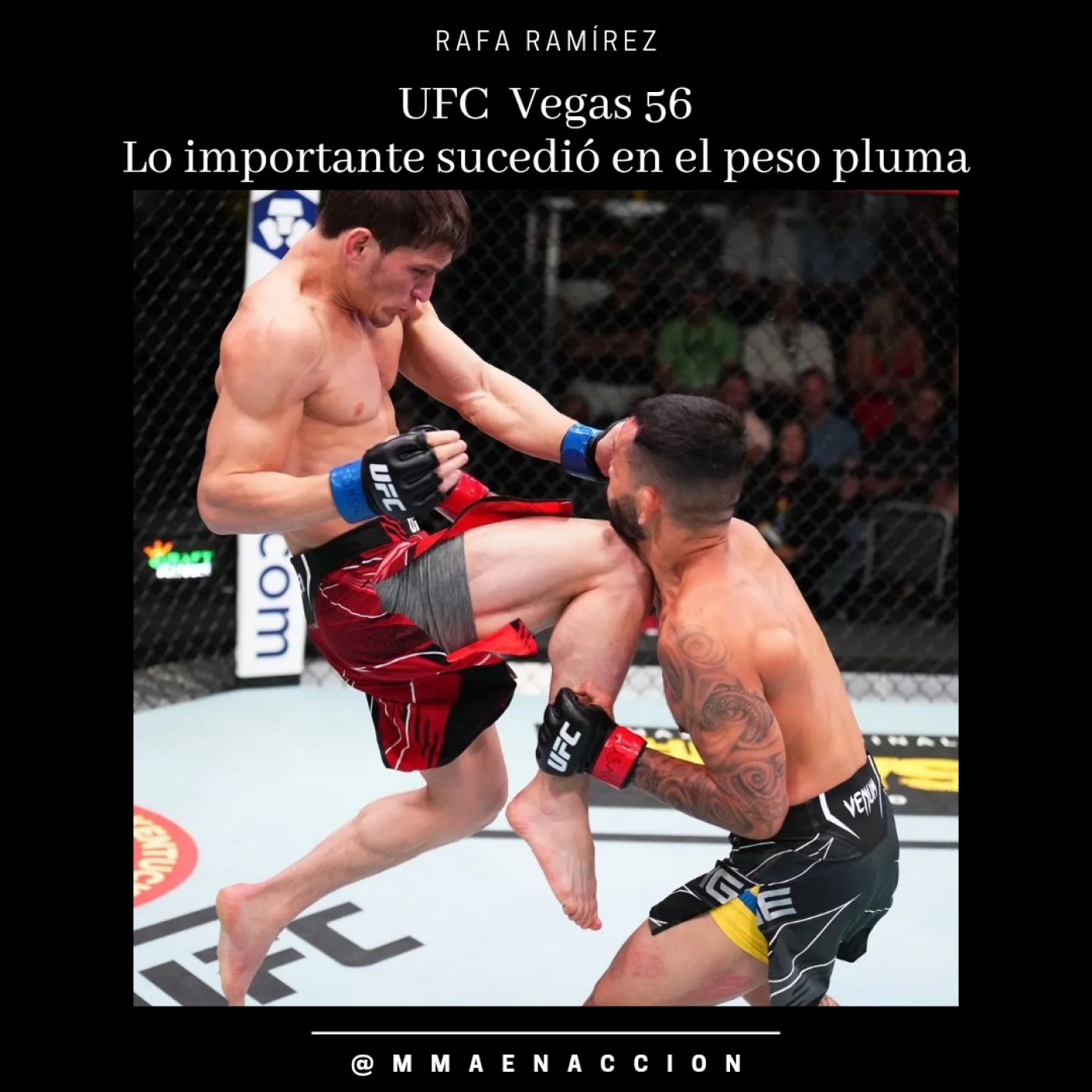 UFC Vegas 56 - Lo importante sucedió en el peso pluma episode artwork