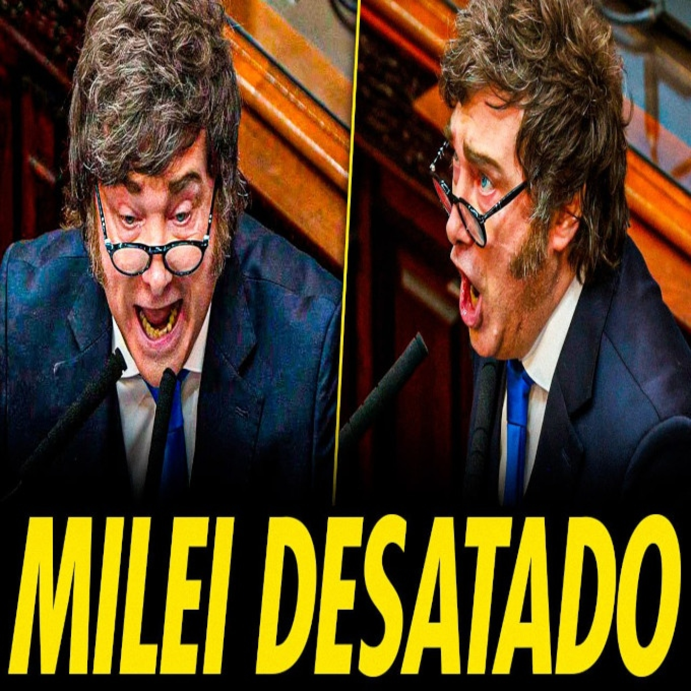 MILEI SE BROTA EN LA APERTURA DEL AÑO LEGISLATIVO