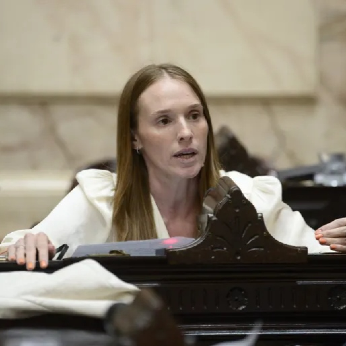 Florencia De Sensi @desensiflor (Diputada Nacional por la Provincia de Buenos Aires | Bloque PRO) Del Arco Político