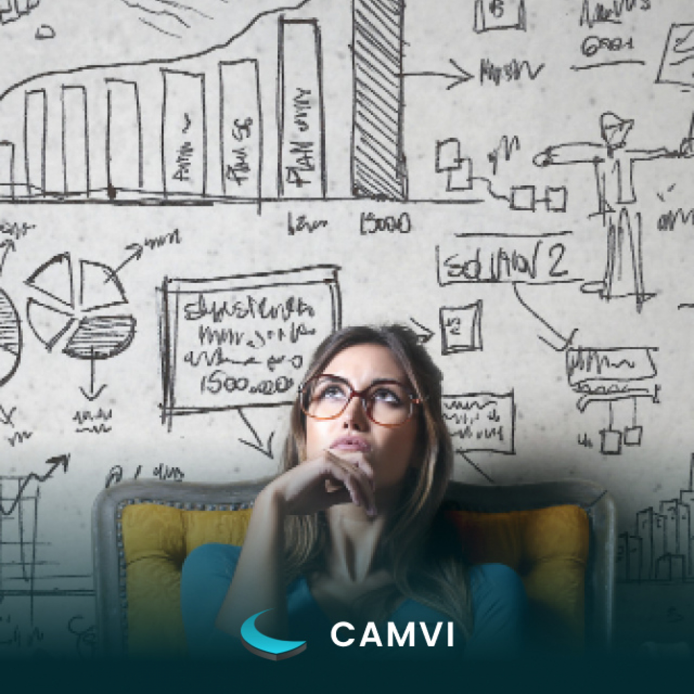 CAMVI