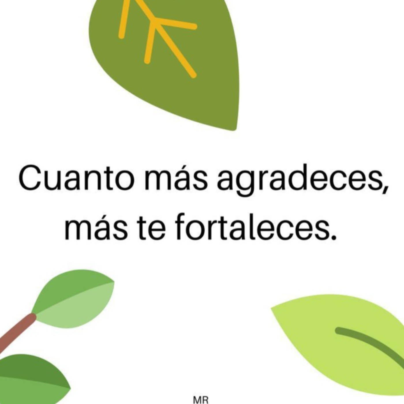 La gratitud atrae felicidad