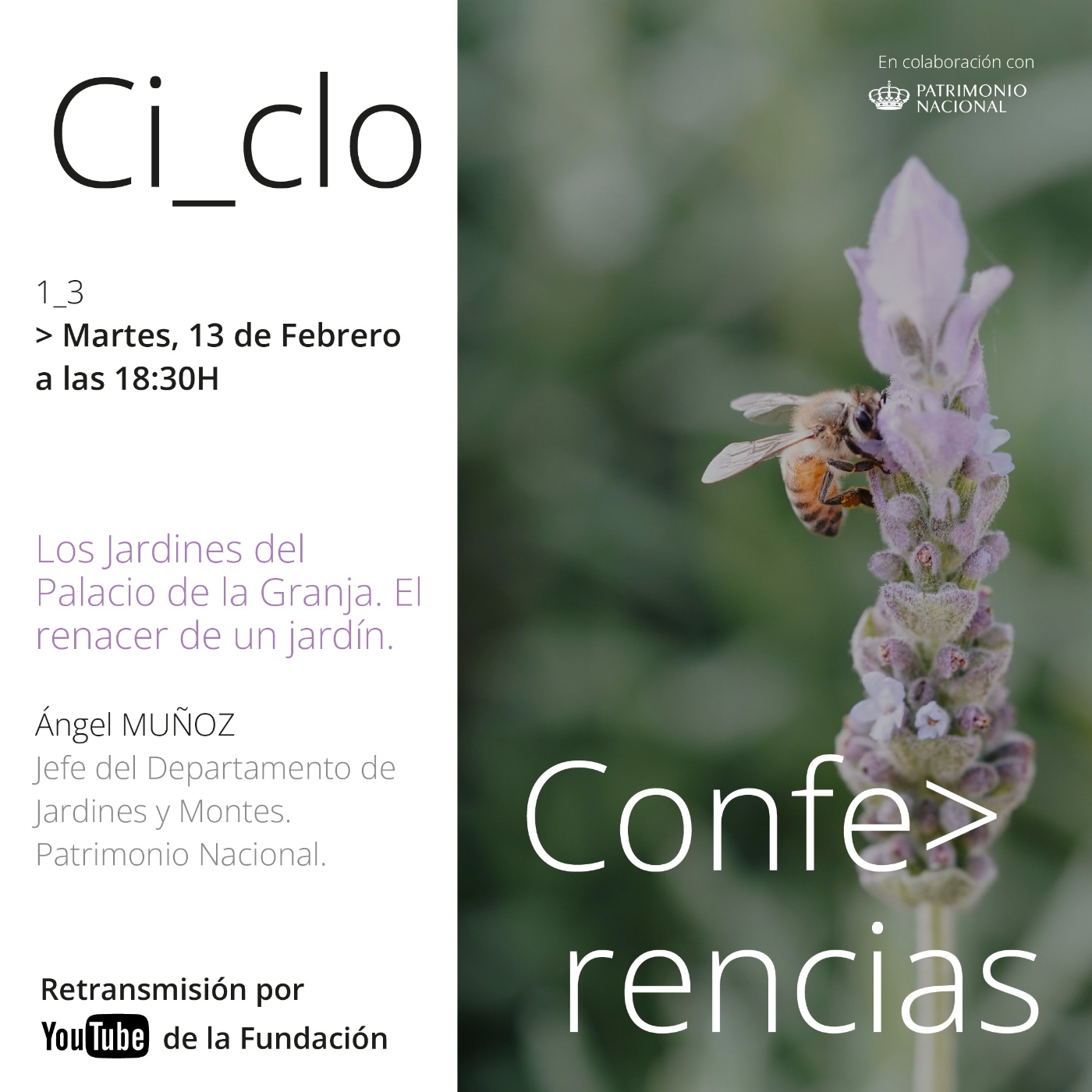 Conferencias
