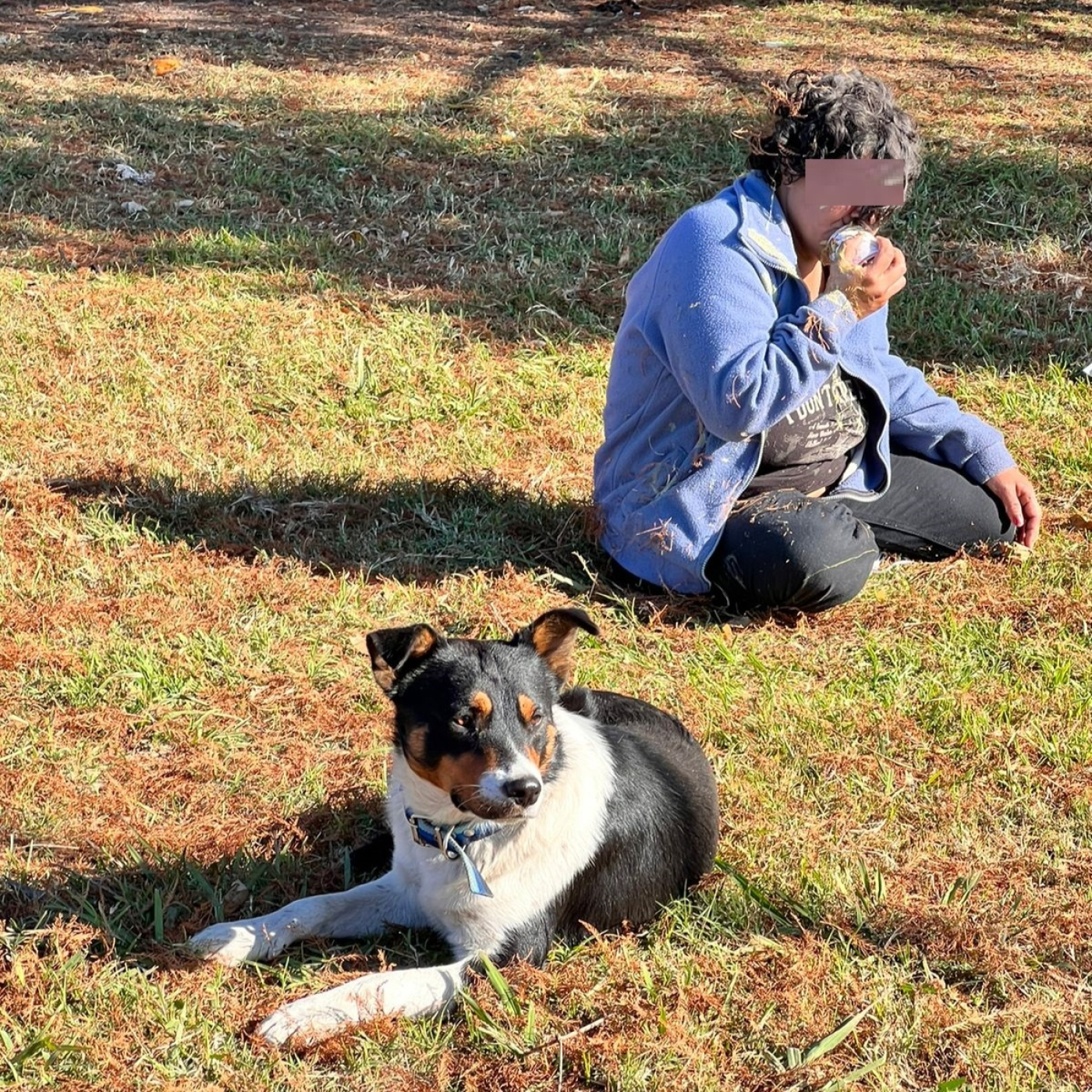 El impresionante caso del perro que cuidaba a la chica que consumía