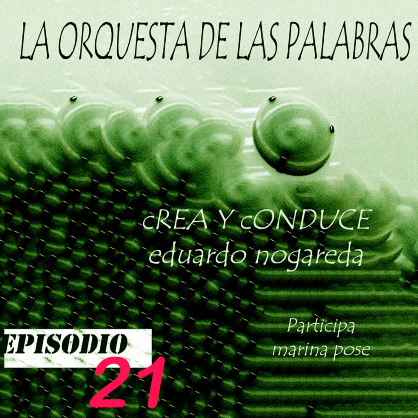 La orquesta de las palabras