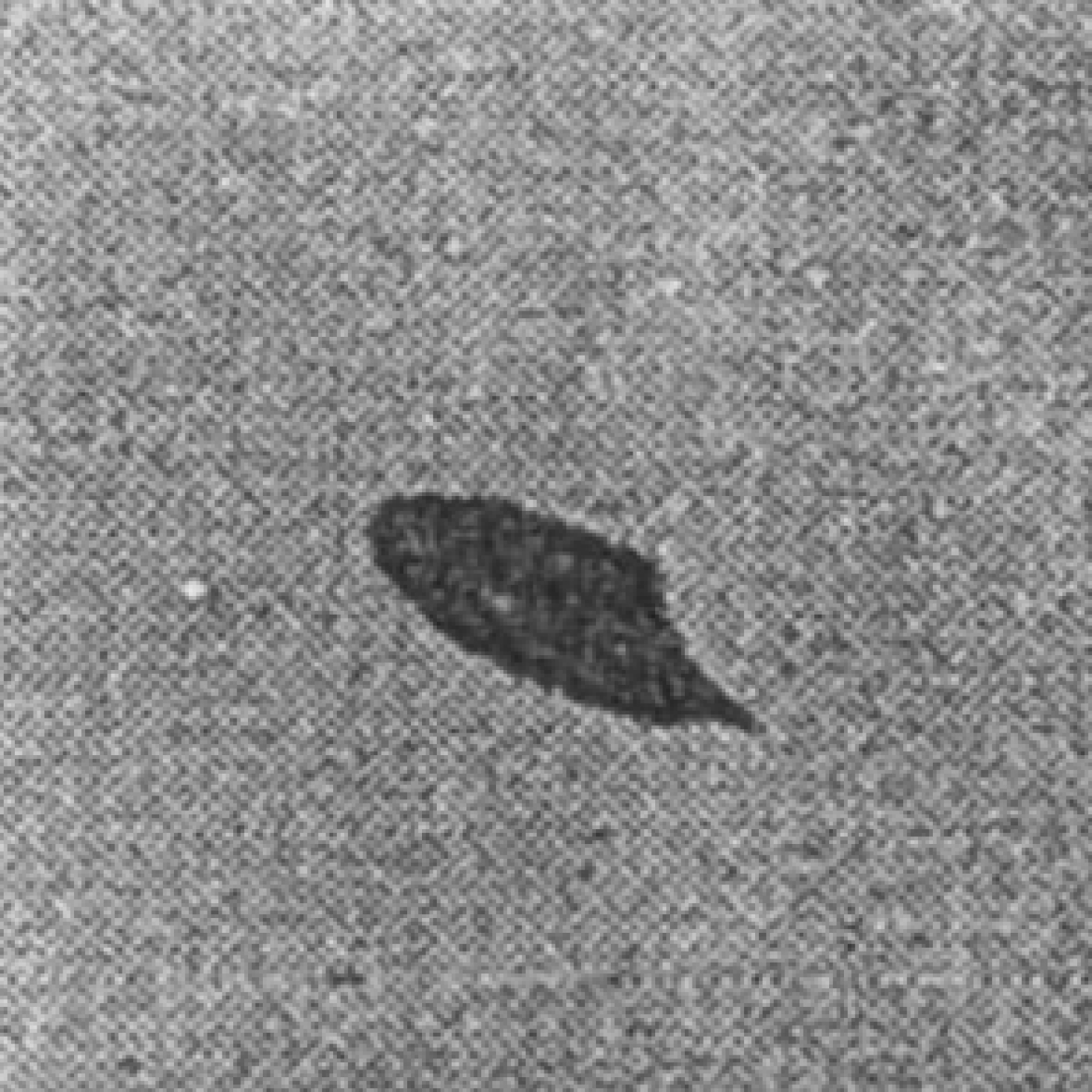 1074 - OVNIs, segunda parte: El Proyecto Signo