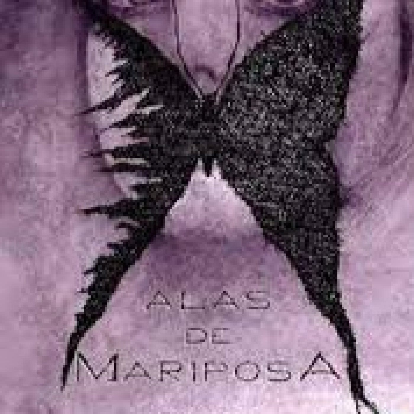 Rodad Insensatos