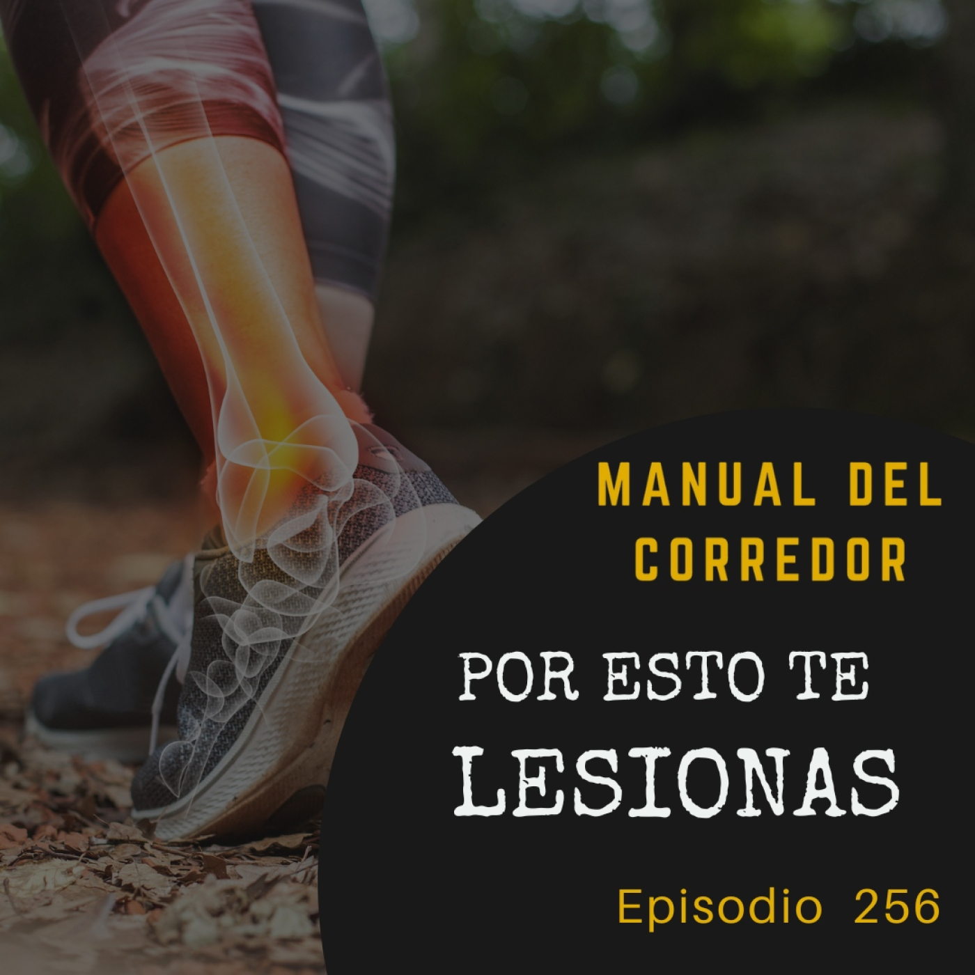 Manual del corredor