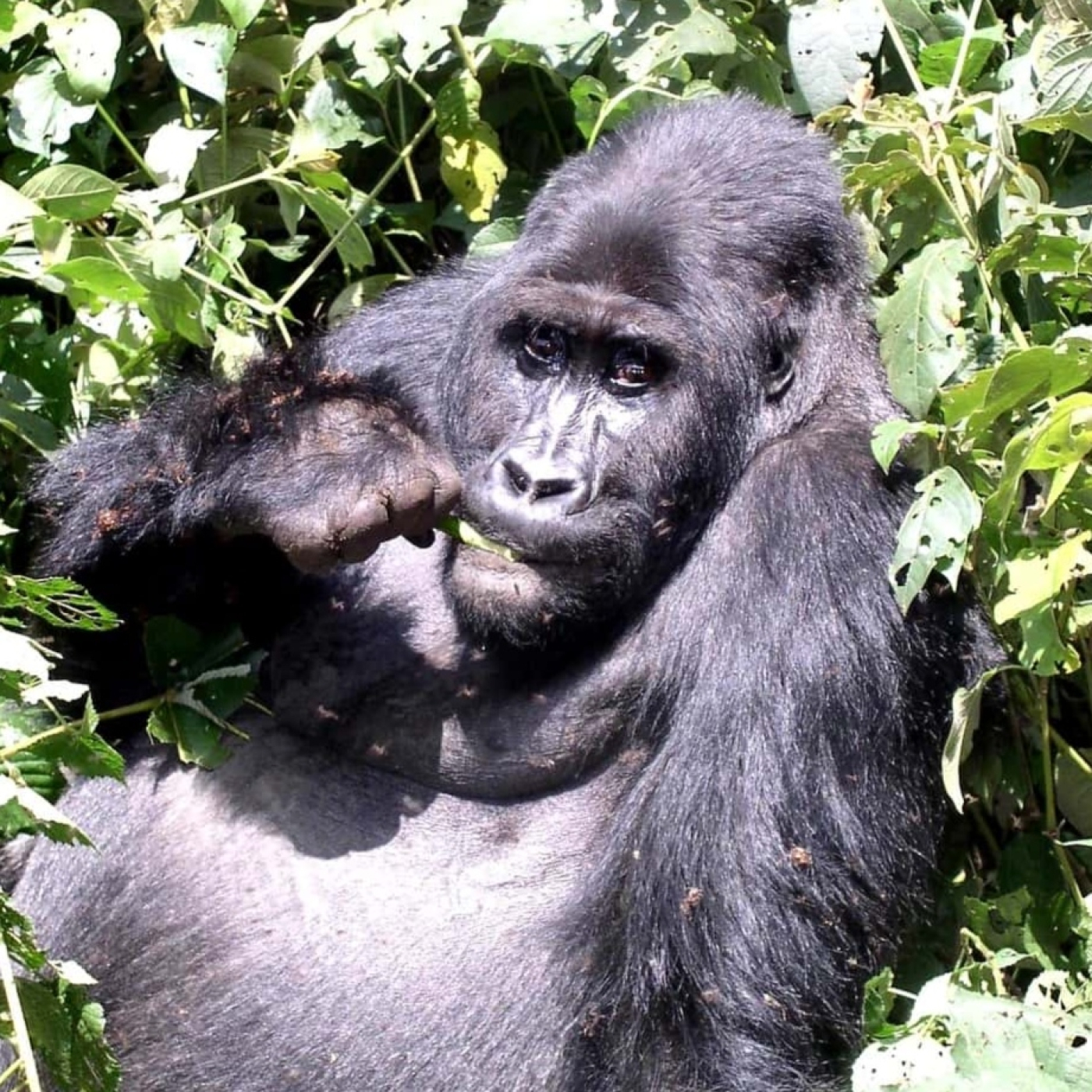 El reto de la verdad