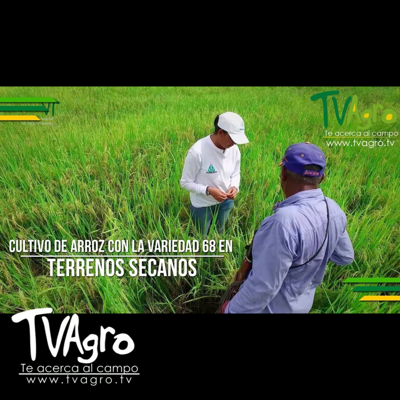 TV AGRO