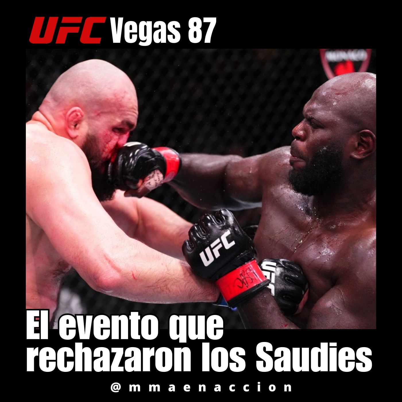 MMA en acción