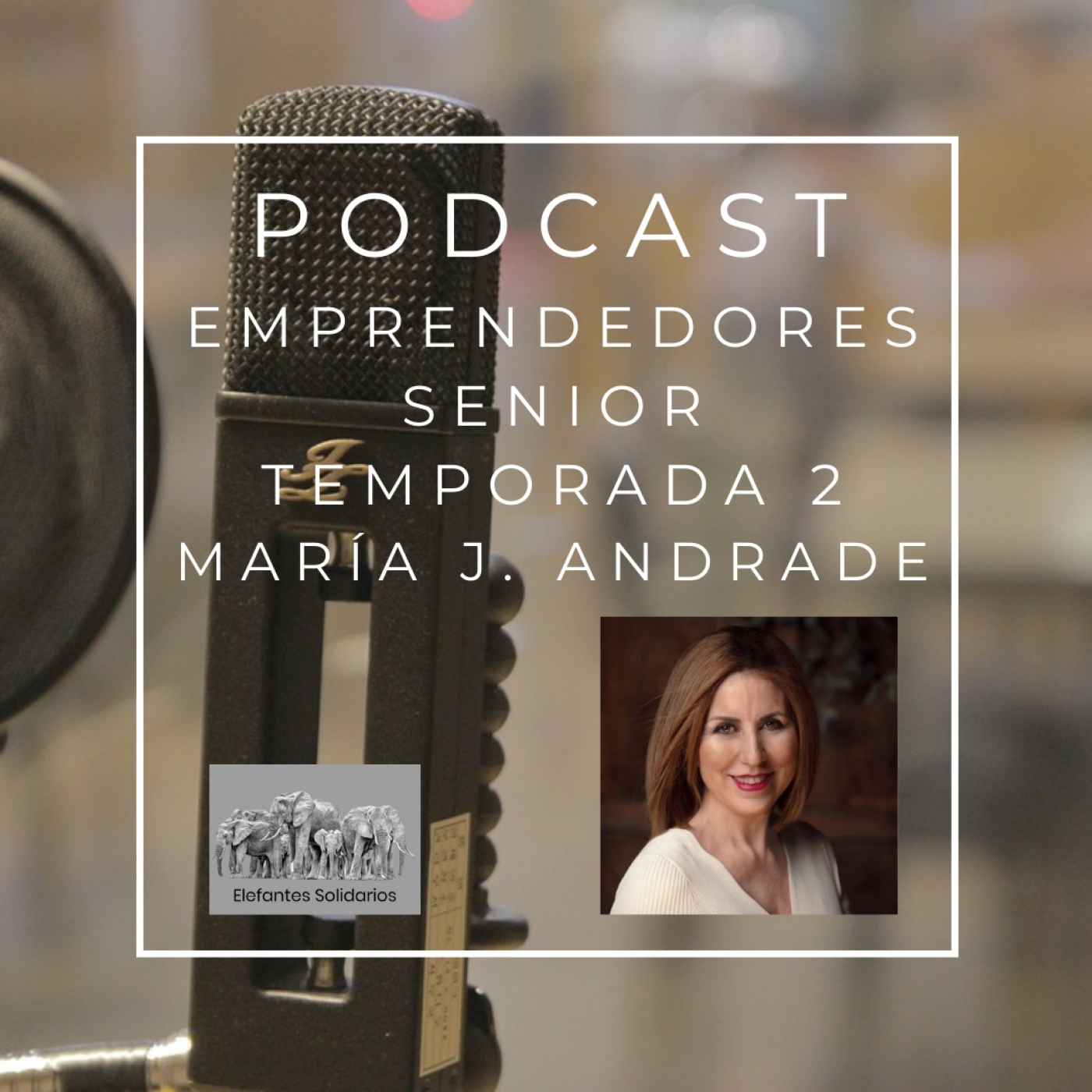 Emprendedores Senior