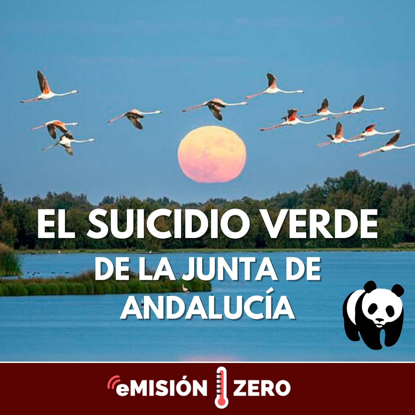 Emisión Zero
