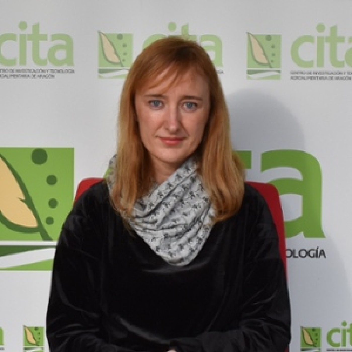 CITA de Aragón: Apariciones en radio