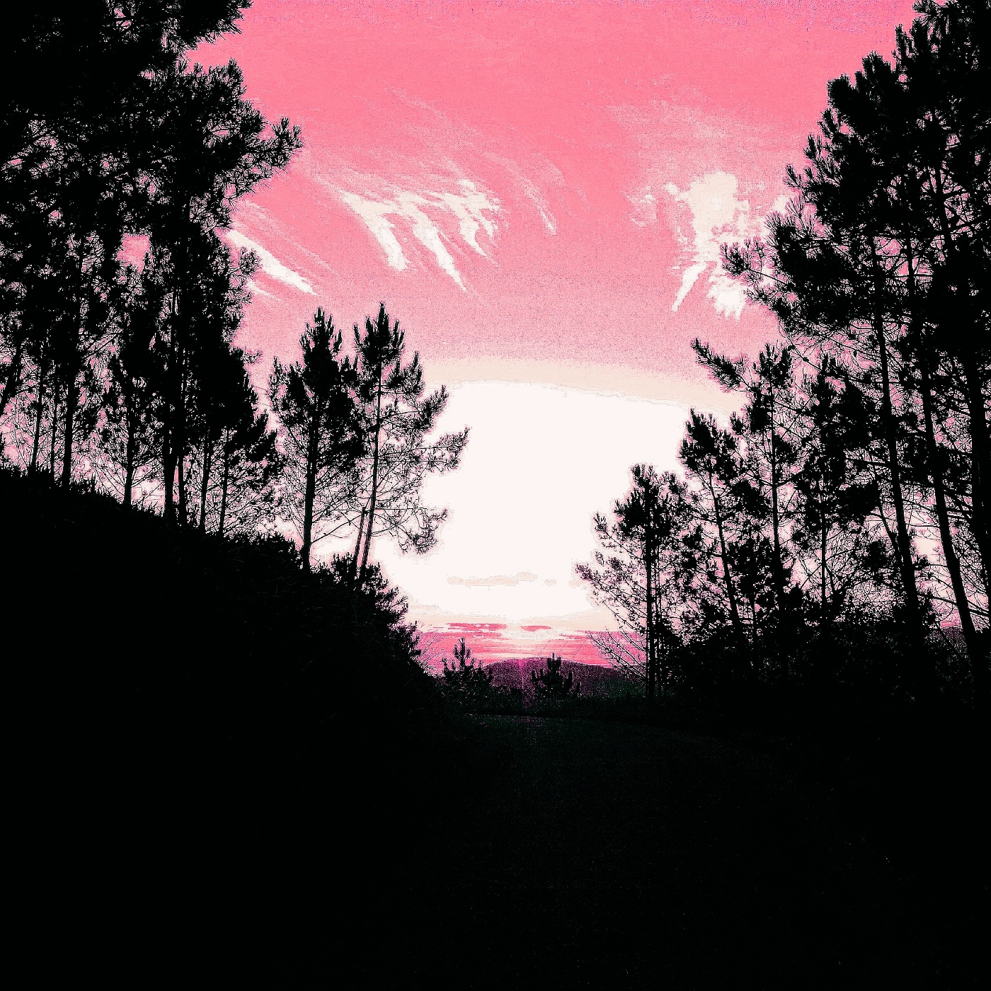 Noches En la Hoguera