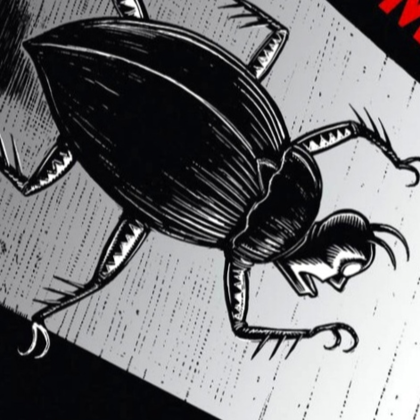 Relatos de terror Macabra Visión