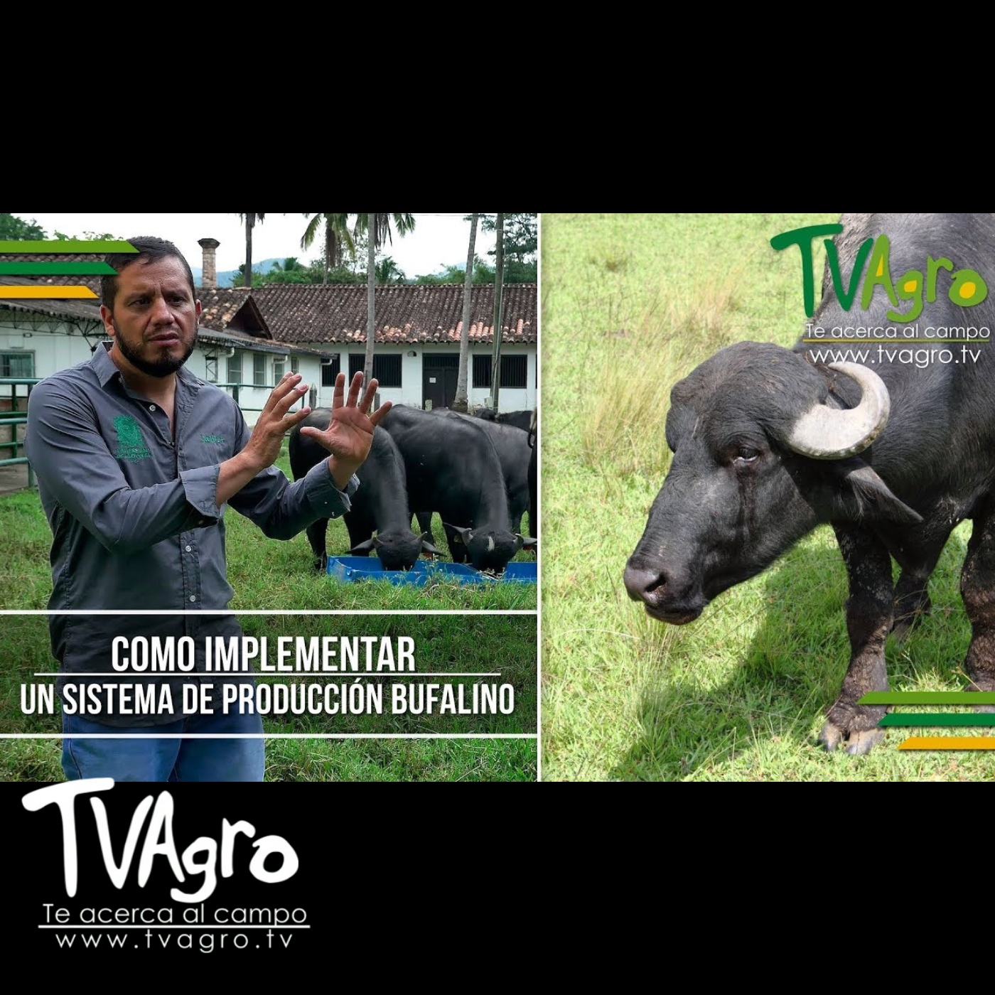 TV AGRO
