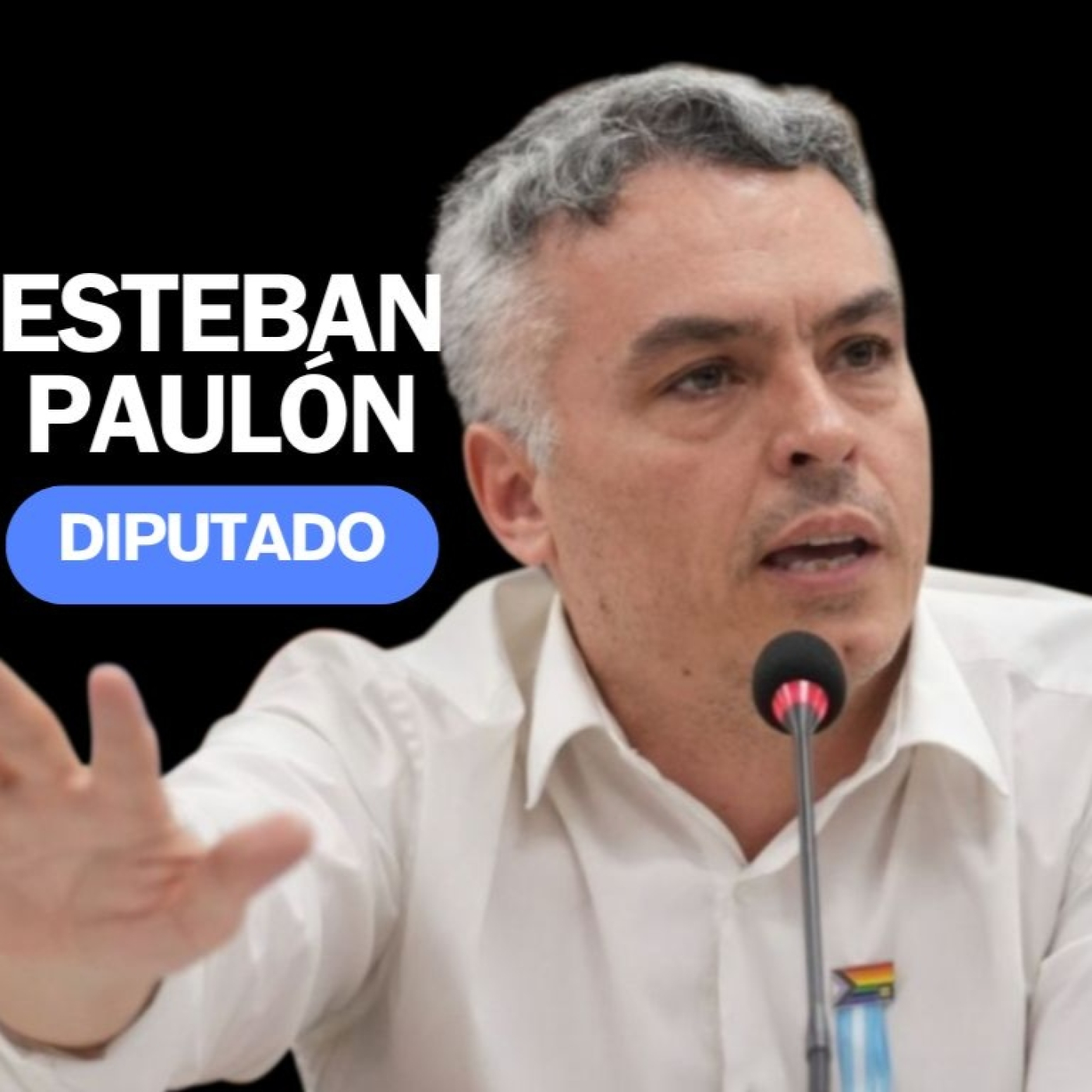 "Adorni es el brazo ejecutor de Karina, por eso tratan de sostenerlo" dice Esteban Paulón