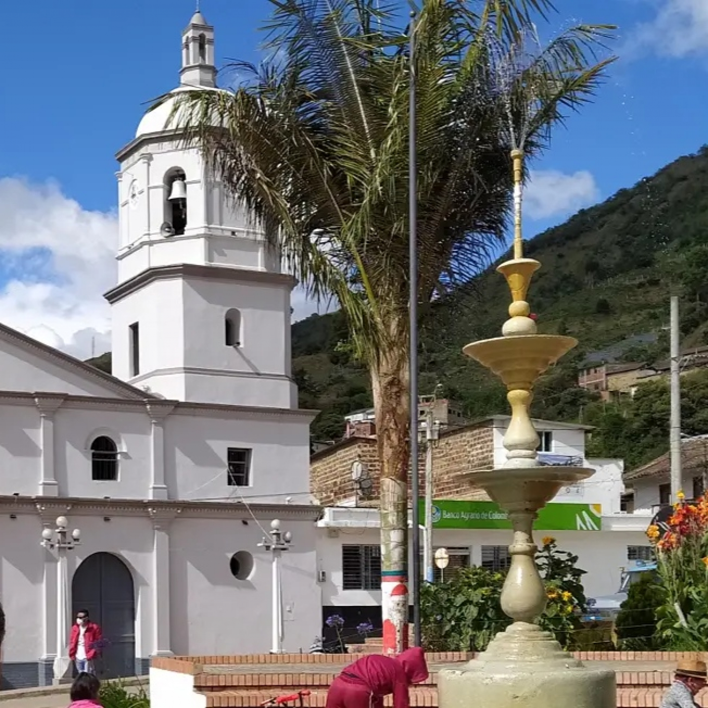Miradas y Voces