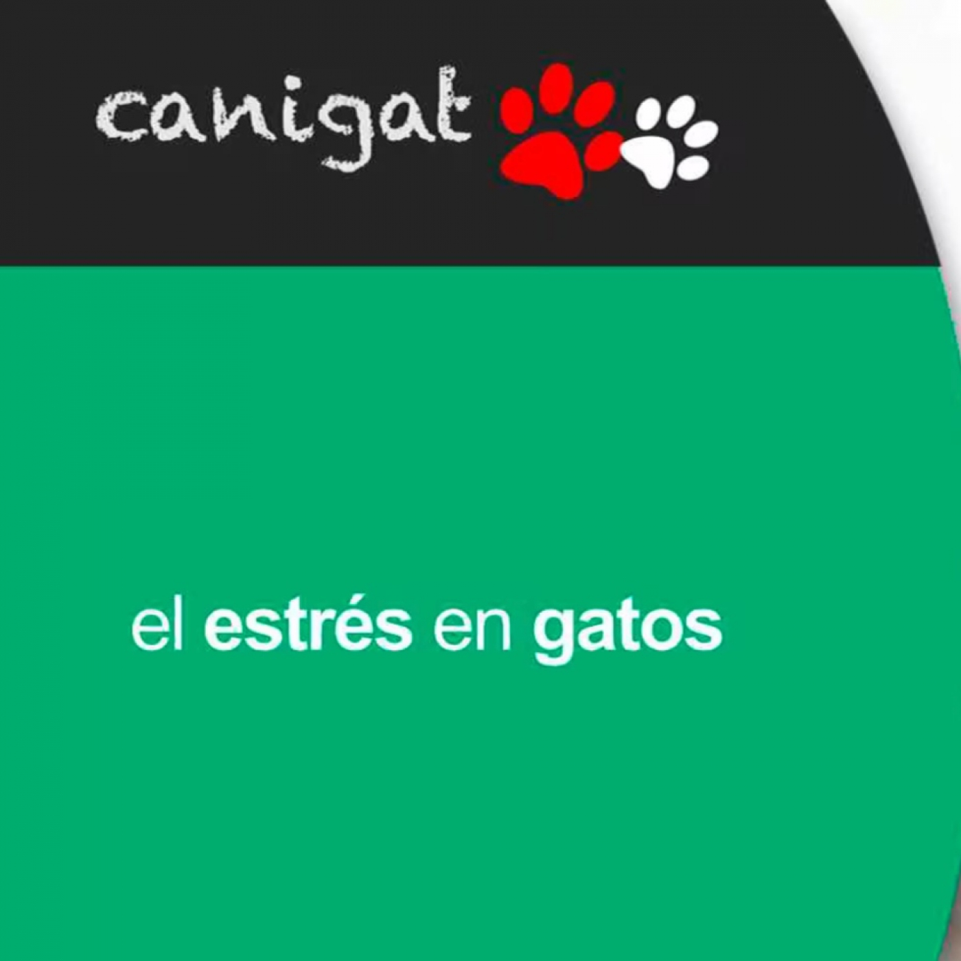 Consejos veterinarios de perros y gatos by canigat