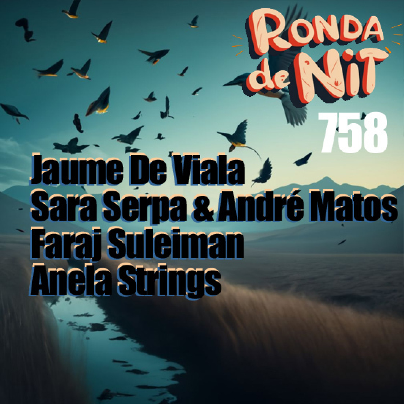 Ronda de Nit