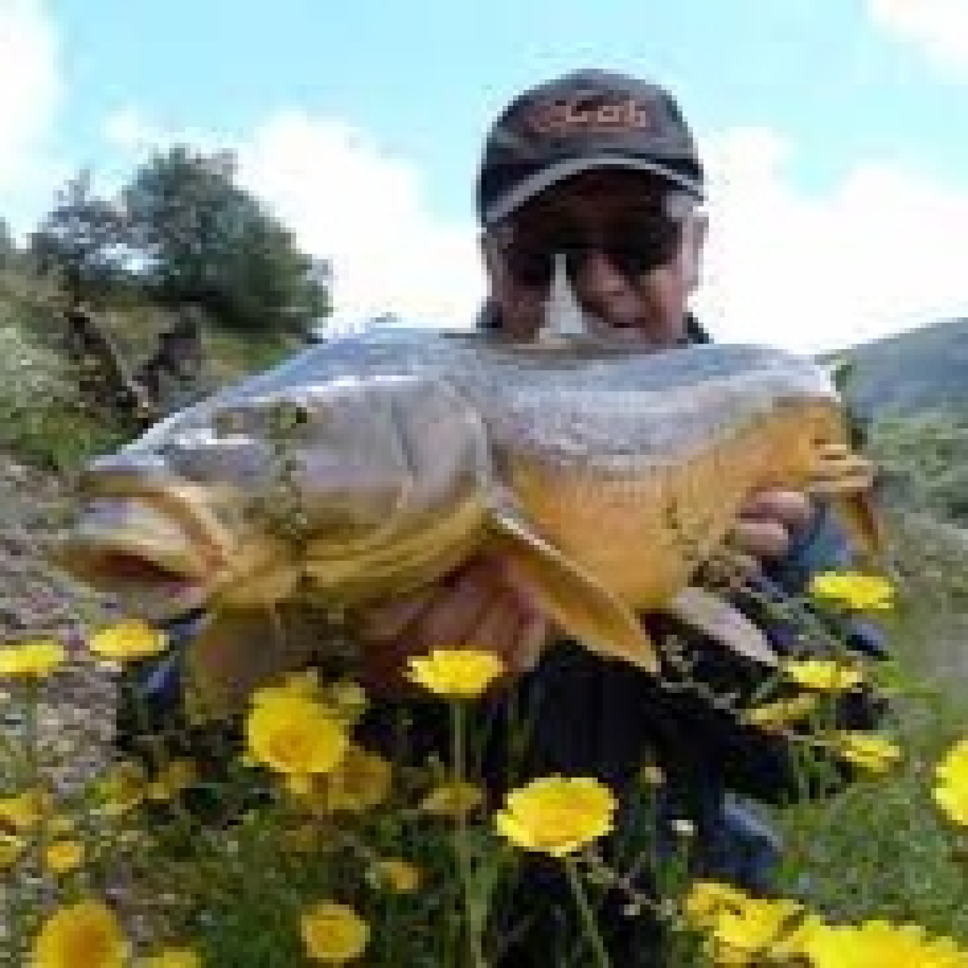 Rio de la Vida pesca