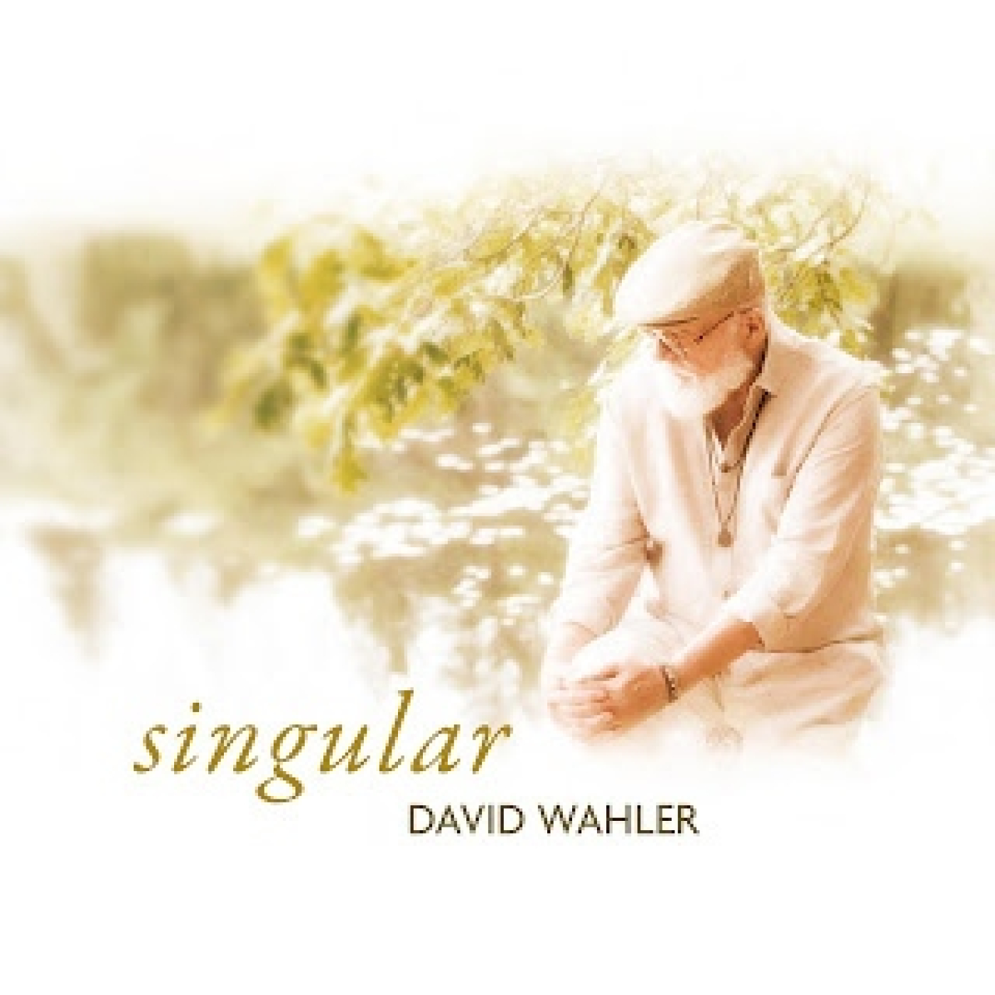 David Wahler: Singular