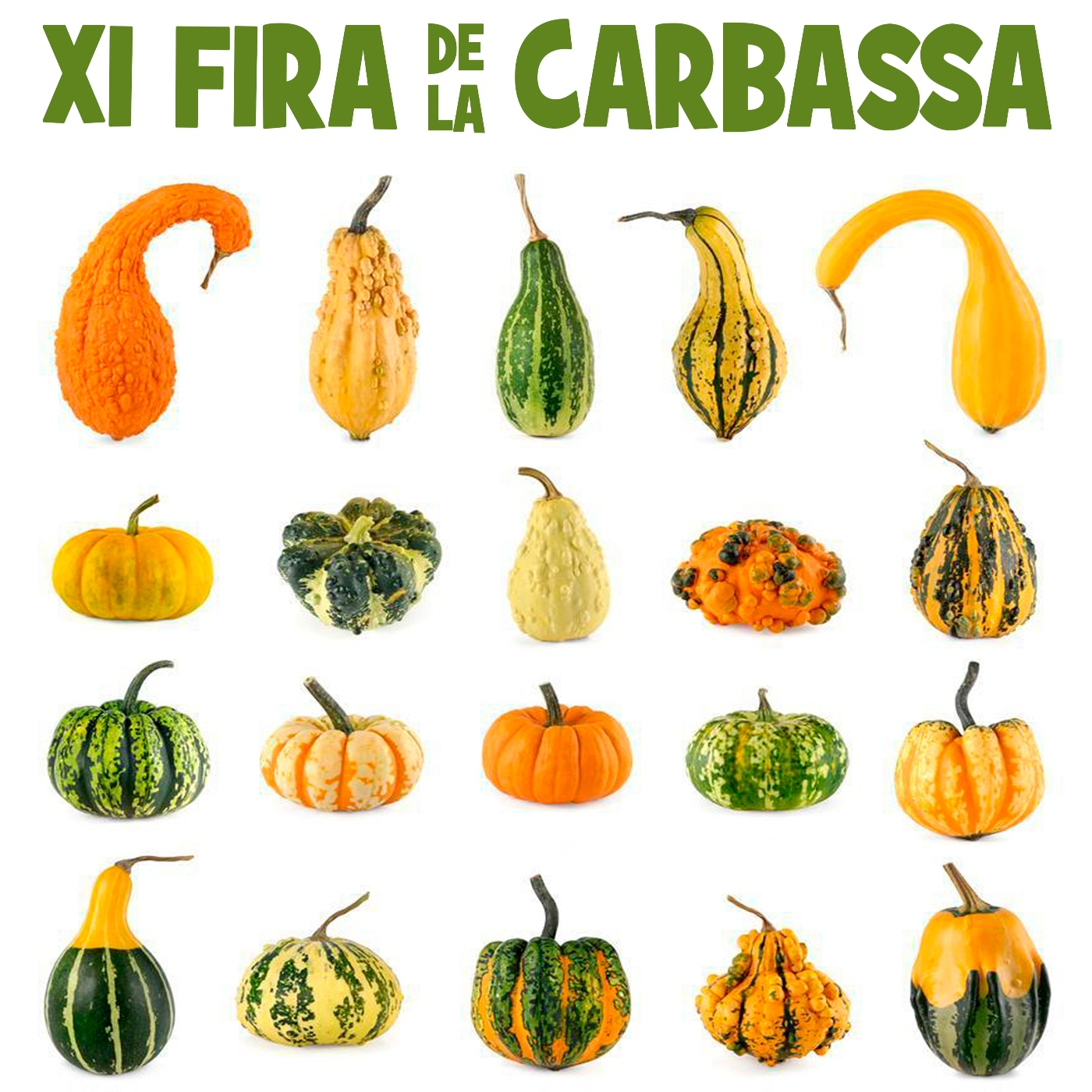No ha estat un bon any per a les carbasses, però és l'any de recuperar la fira episode artwork