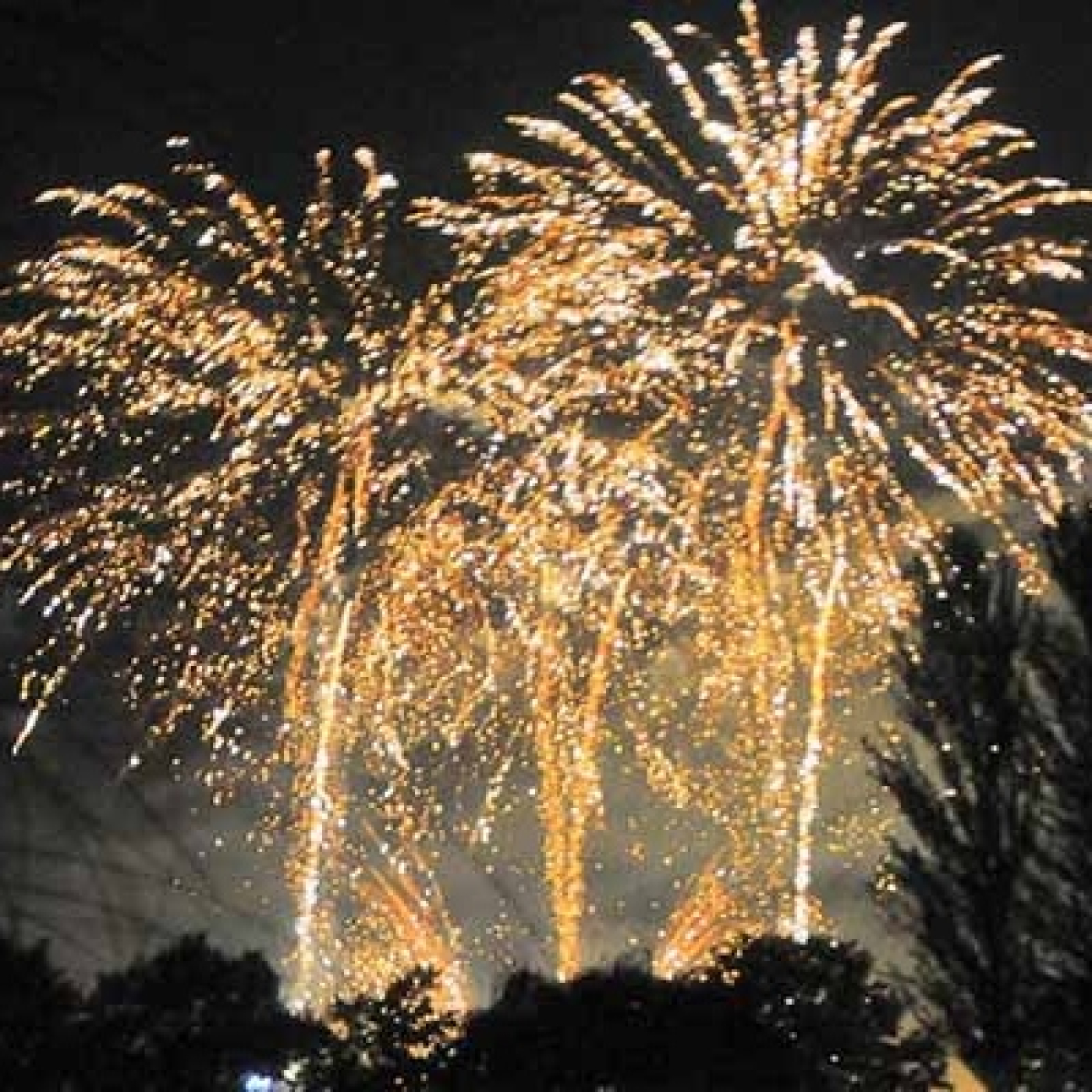 Galetes i Ratafia - Cap d'Any 2025