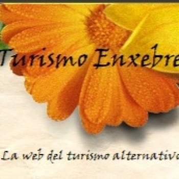 embed image