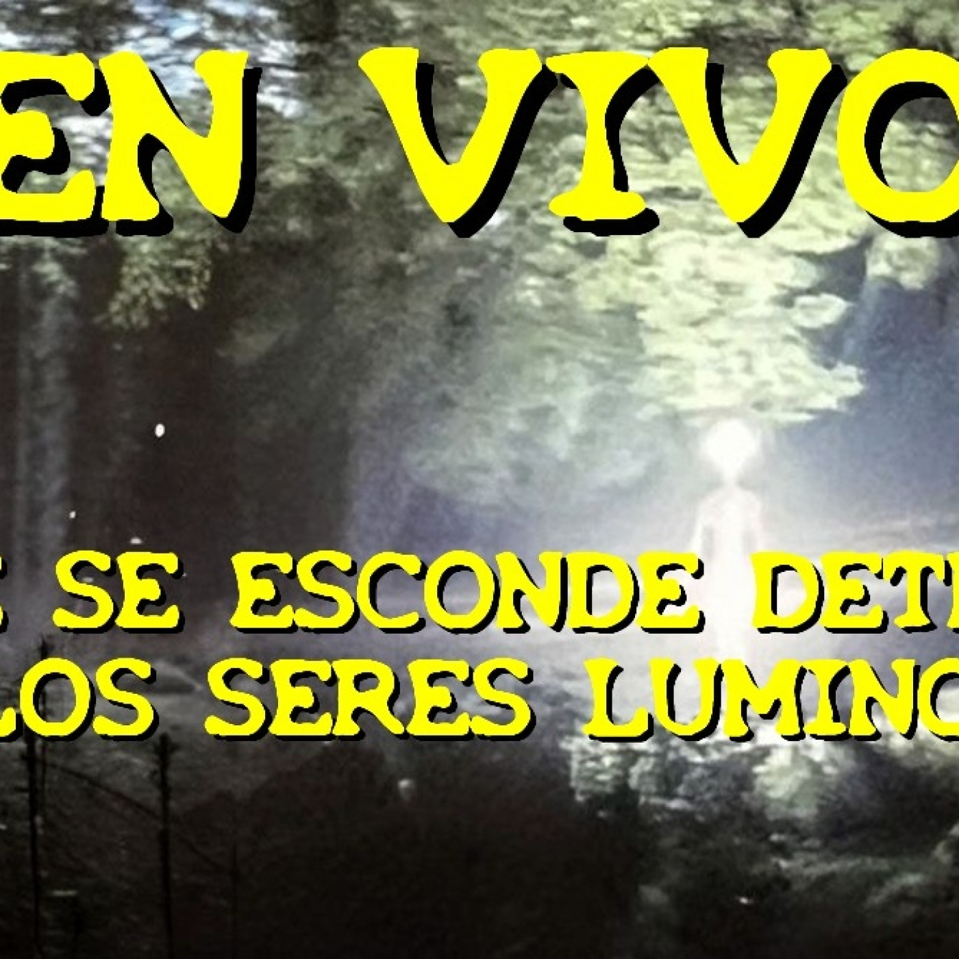 Los desvelados - 2023 - que se esconde detras de los seres luminosos