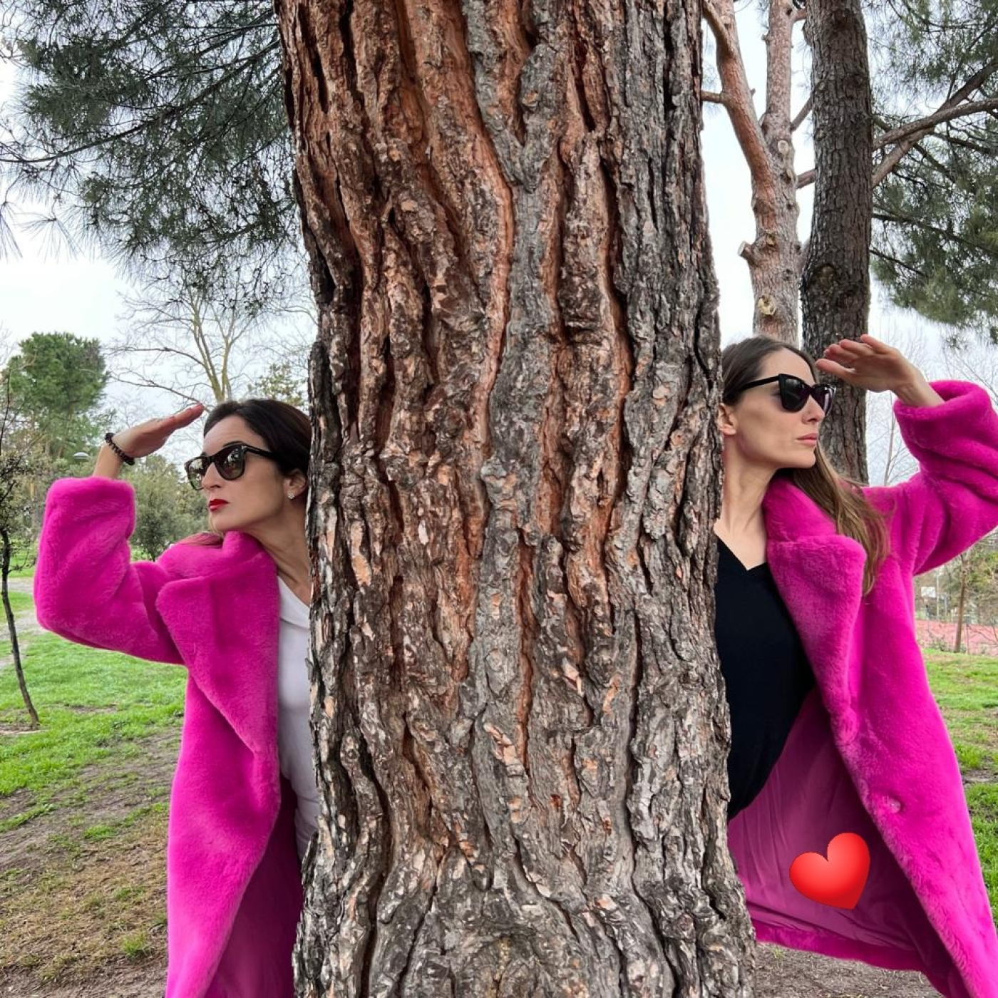 TARDES DE PARQUE