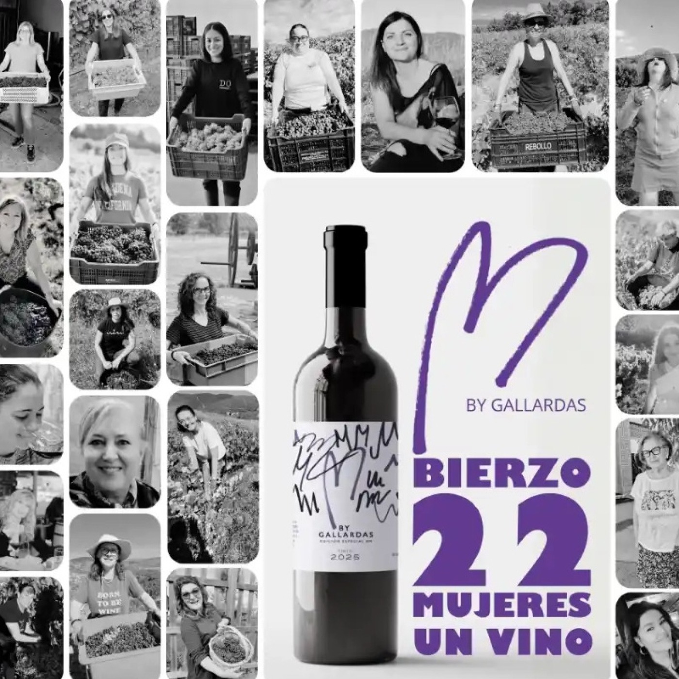 22 mujeres y un mismo vino: una historia del Bierzo episode artwork