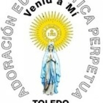 embed image