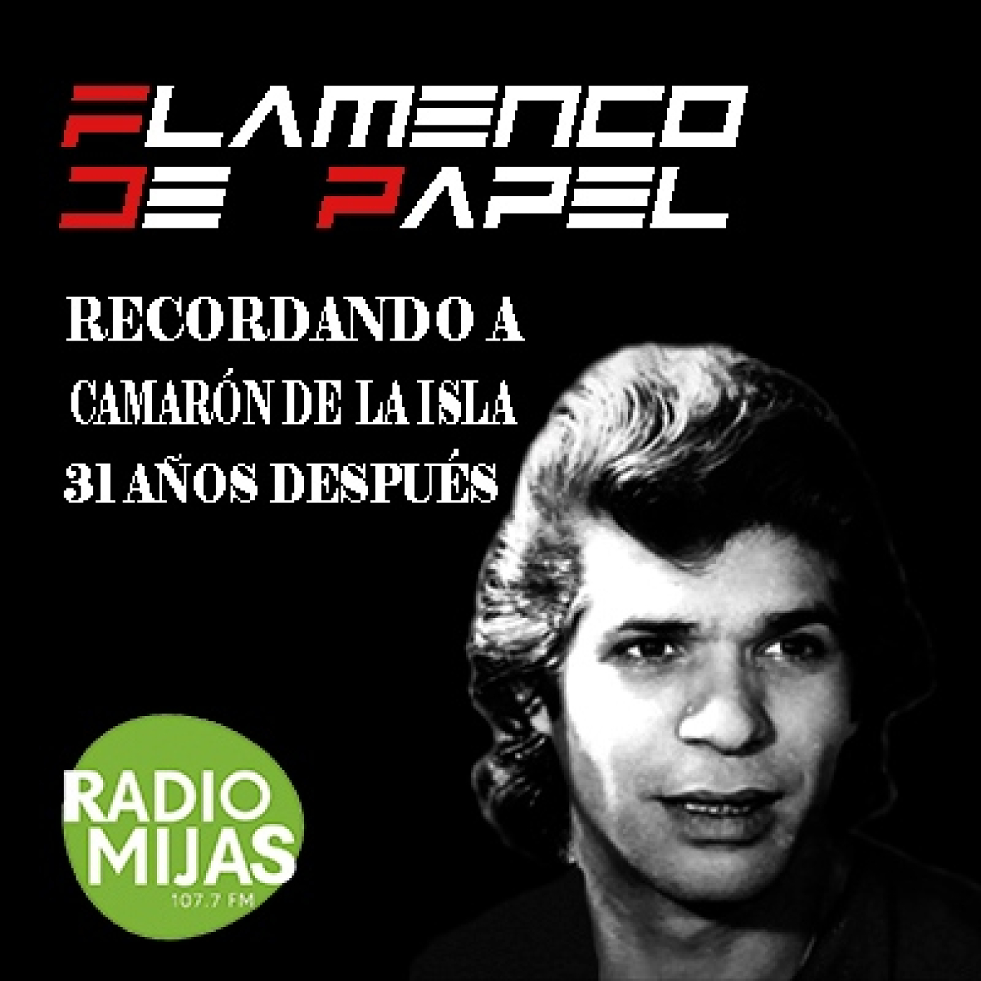 FLAMENCO DE PAPEL