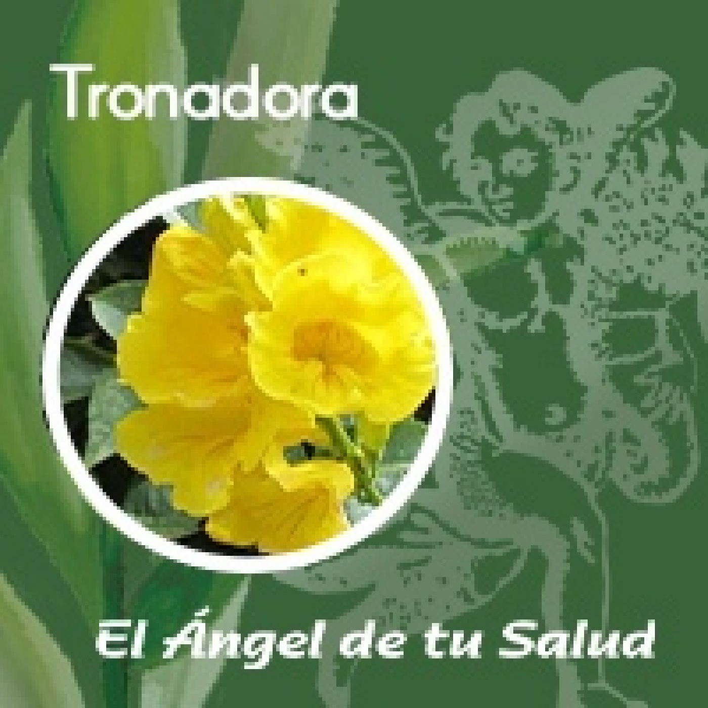 El Ángel de tu Salud - Tronadora** episode artwork