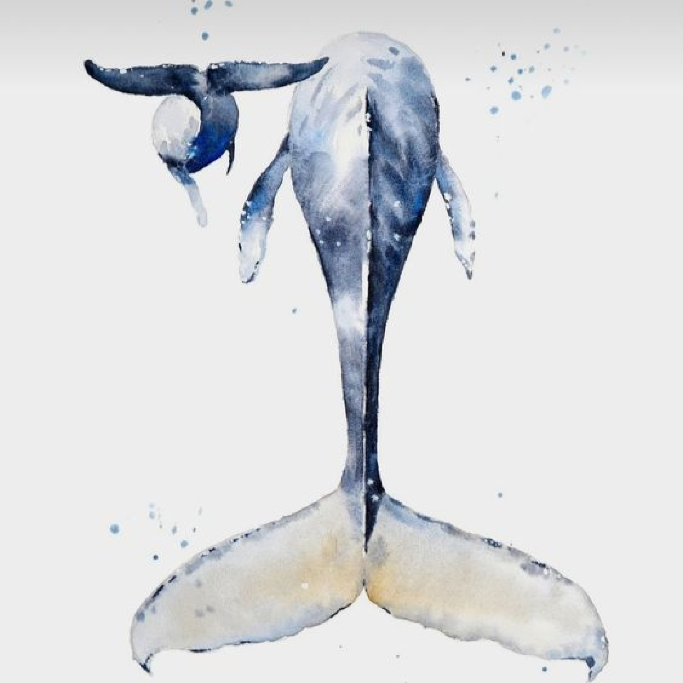 Música para ballenas 007. El nuevo curso de tus cosas