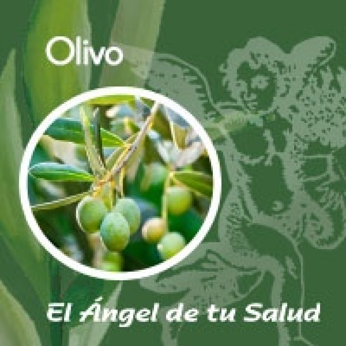 El Ángel de tu Salud - Olivo** episode artwork
