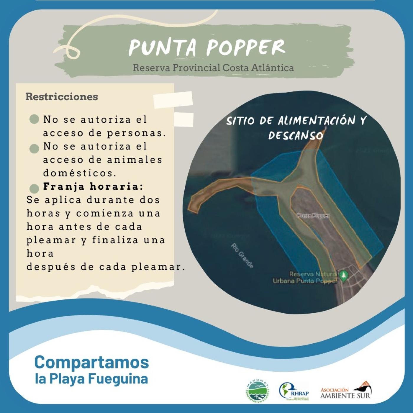Eco Vida Ambiente