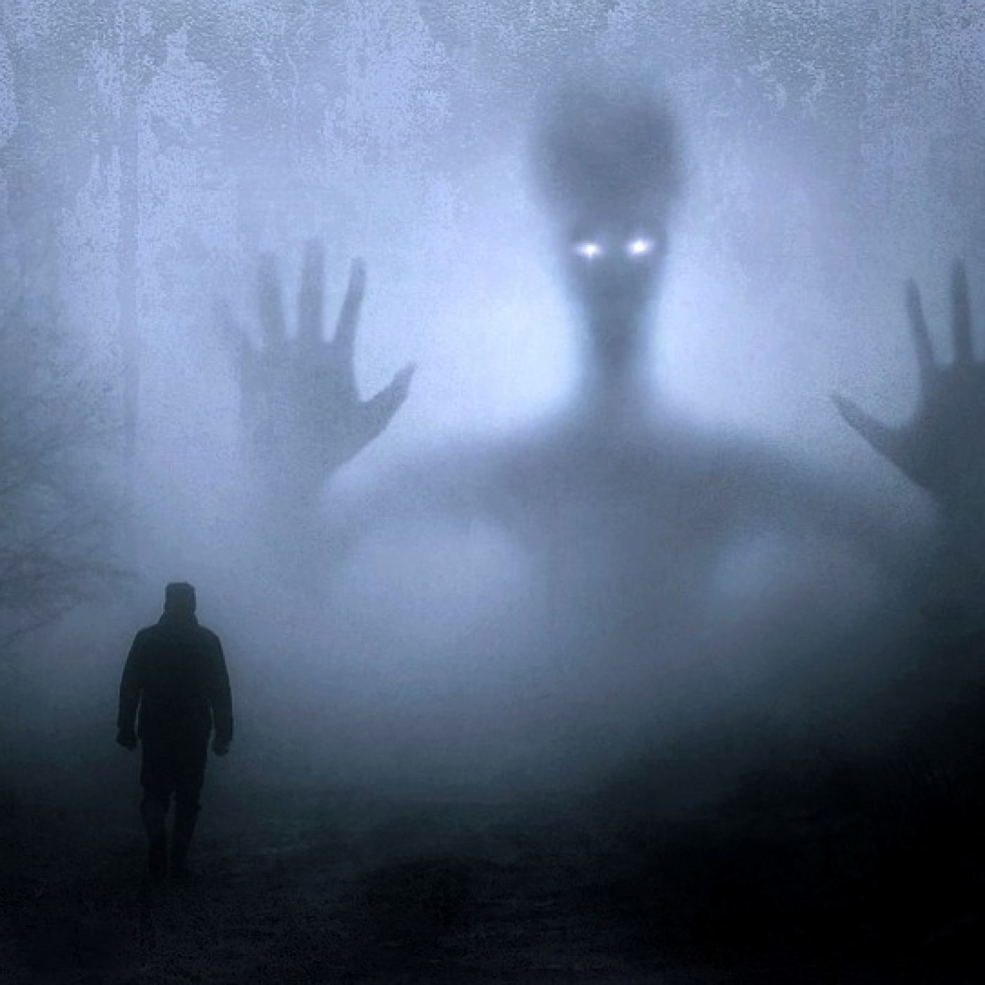 186 Fantasmas del pasado episode artwork