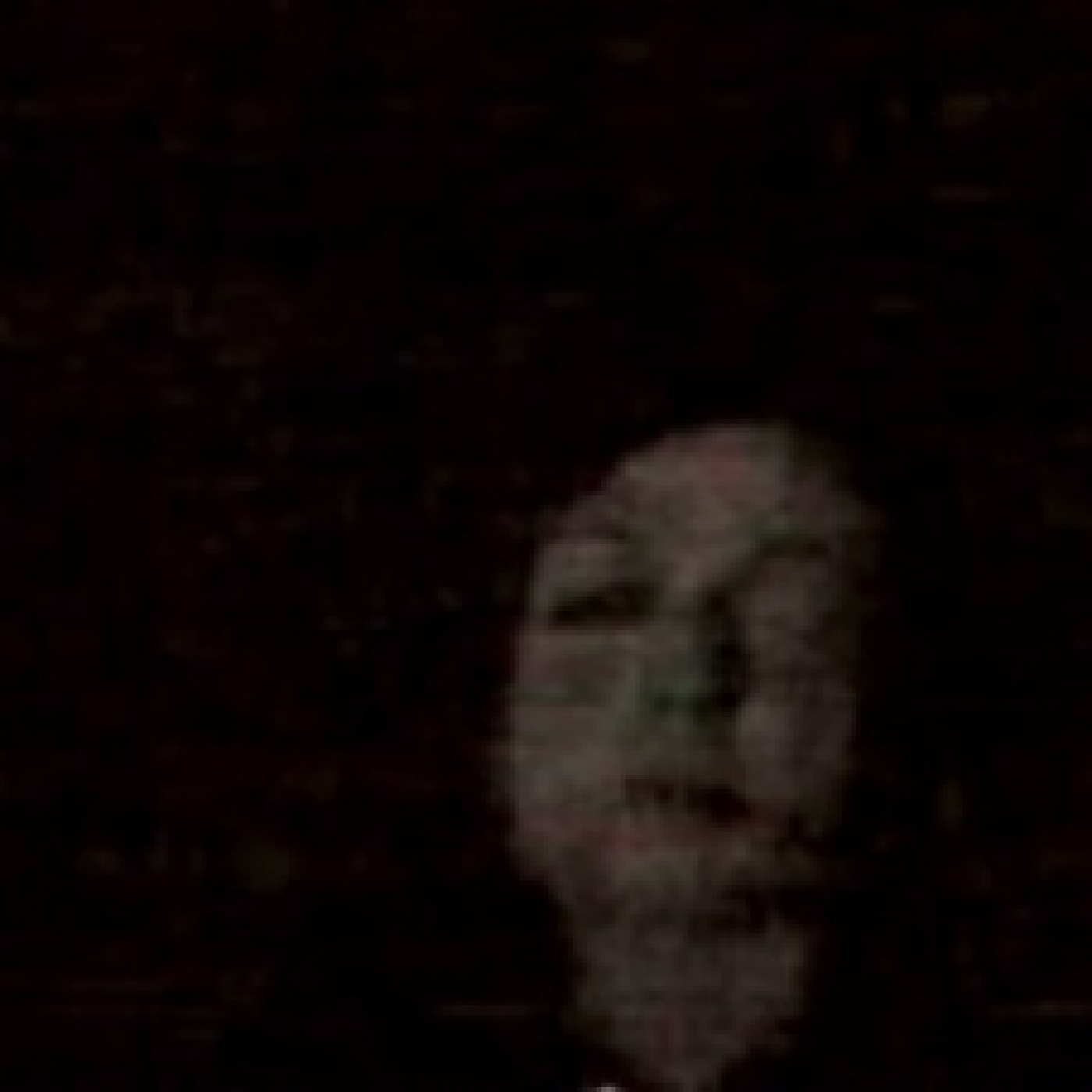 31 días de terror VI #13- Lake Mungo (Joel Anderson, 2008) - Episodio exclusivo para mecenas